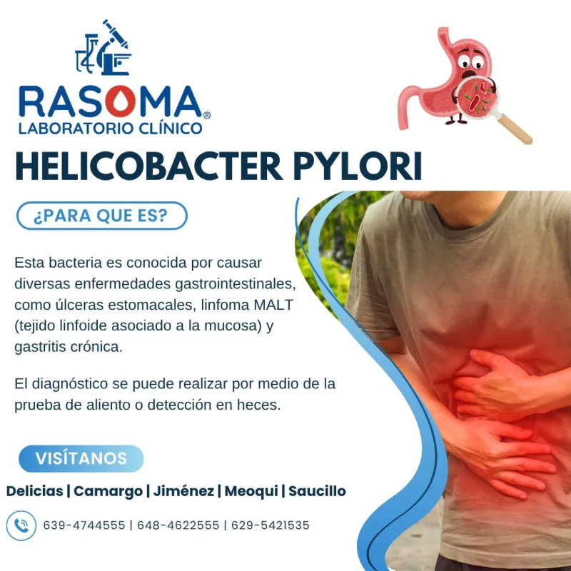 Helicobacter pylori (Detección de Bacteria Gástrica)